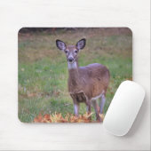Weißschwanzhirsche in einem Herbstfeld Mousepad (Mit Mouse)