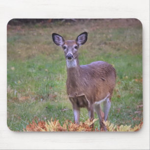 Weißschwanzhirsche in einem Herbstfeld Mousepad