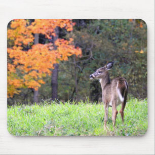 Weißschwanzhirsche in einem Herbstfeld Mousepad