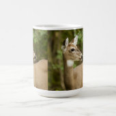 Weißschwanzhirsche Kaffeetasse (Mittel)