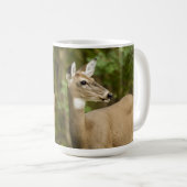 Weißschwanzhirsche Kaffeetasse (VorderseiteRechts)