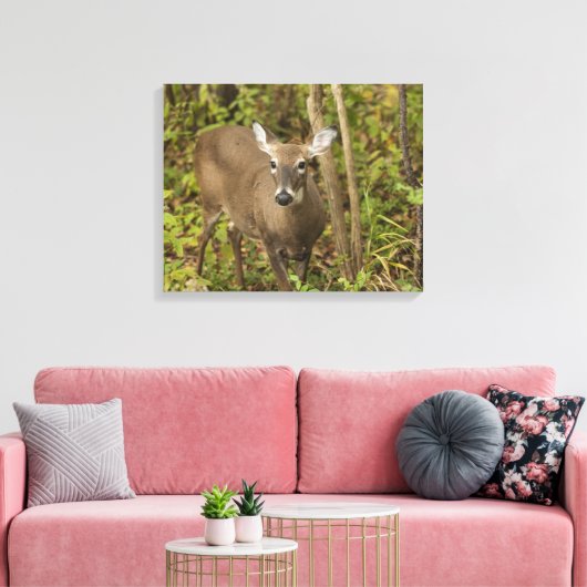 Weißschwanzhirsche Leinwanddruck (Insitu (Wohnzimmer))