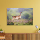 Weißschwanzhirsche Leinwanddruck (Insitu (Wohnzimmer))