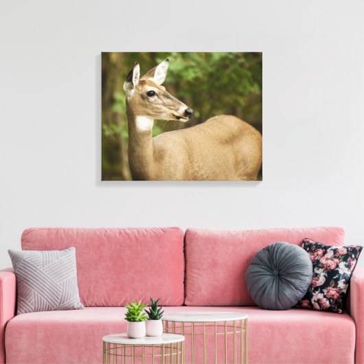 Weißschwanzhirsche Leinwanddruck (Insitu (Wohnzimmer))