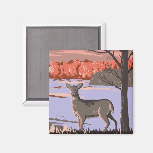 Weißschwanzhirsche Magnet (Vorderseite/Rückseite)