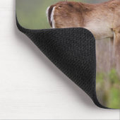 Weißschwanzhirsche Mousepad (Ecke)