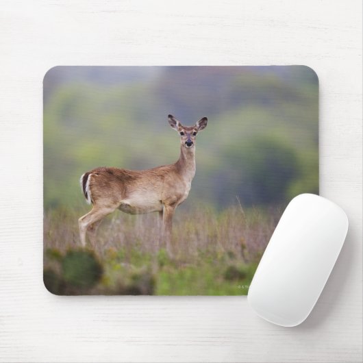 Weißschwanzhirsche Mousepad (Mit Mouse)