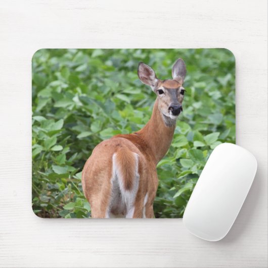 Weißschwanzhirsche Mousepad (Mit Mouse)
