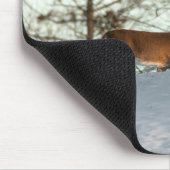 Weißschwanzhirsche Mousepad (Ecke)