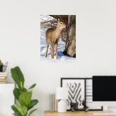 Weißschwanzhirsche (Nah hoch) Poster (Heimbüro)