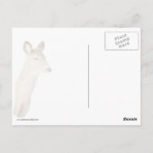 Weißschwanzhirsche (Nah hoch) Postkarte (Rückseite)
