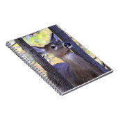 Weißschwanzhirsche Nah Notizblock (Rechte Seite)