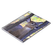 Weißschwanzhirsche Nah Notizblock (Linke Seite)