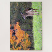 Weißschwanzhirsche Nah Puzzle (Vertikal)