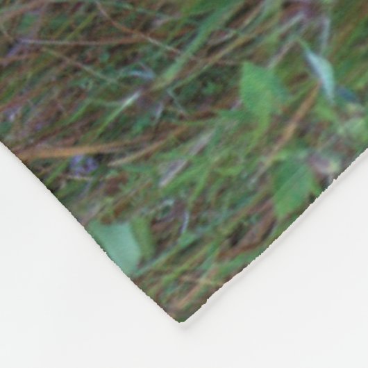 Weißschwanzhirsche | National Bison Range Montana Fleecedecke (Ecke)