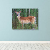 Weißschwanzhirsche | National Bison Range Montana Leinwanddruck (Insitu (Holzboden))