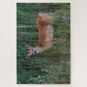 Weißschwanzhirsche | National Bison Range Montana Puzzle (Vertikal)