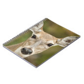 Weißschwanzhirsche Notizblock (Linke Seite)