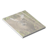 Weißschwanzhirsche Notizblock (angewinkelt)