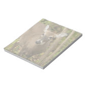 Weißschwanzhirsche Notizblock (Rotiert)