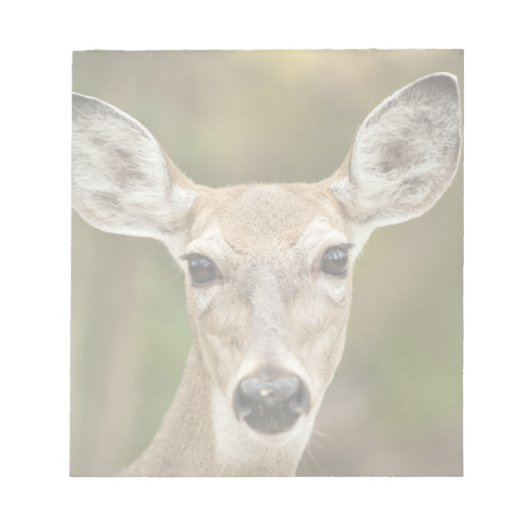 Weißschwanzhirsche Notizblock (Vorderseite)