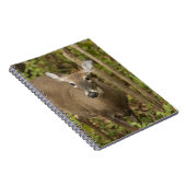 Weißschwanzhirsche Notizblock (Rechte Seite)