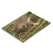 Weißschwanzhirsche Notizblock (Linke Seite)