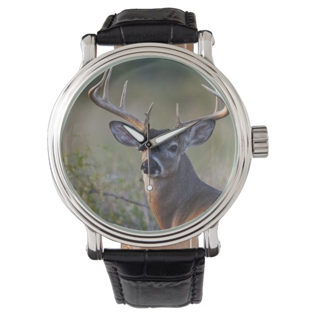 Weißschwanzhirsche Odocoileus virginianus Armbanduhr (Vorderseite)