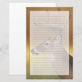 Weißschwanzhirsche, Odocoileus virginianus, Briefpapier (Vorne/Hinten)