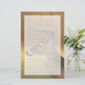 Weißschwanzhirsche, Odocoileus virginianus, Briefpapier (Stehend Vorderseite)