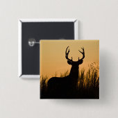 Weißschwanzhirsche (Odocoileus virginianus) Button (Vorne & Hinten)