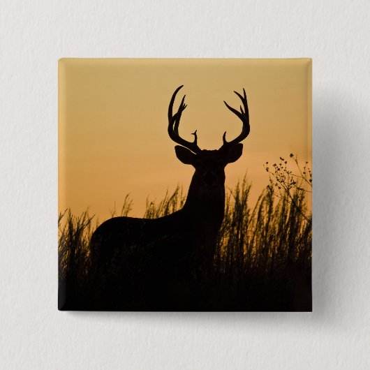 Weißschwanzhirsche (Odocoileus virginianus) Button (Vorderseite)