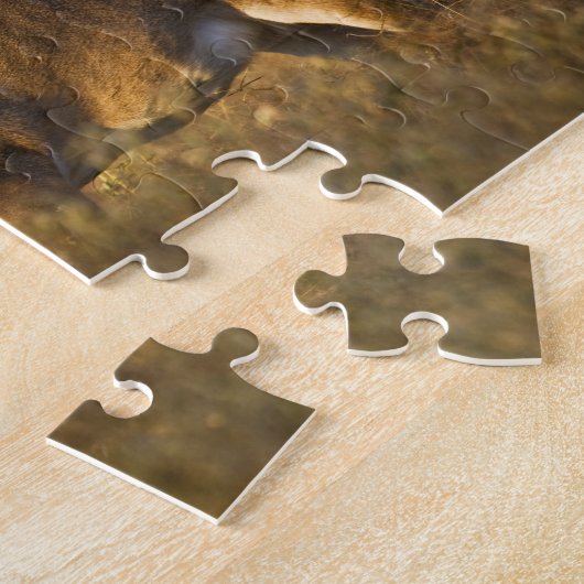 Weißschwanzhirsche (Odocoileus virginianus) Erwach Puzzle (Seite)