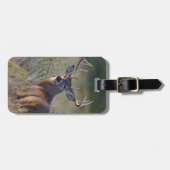 Weißschwanzhirsche Odocoileus virginianus Gepäckanhänger (Vorderseite horizontal)
