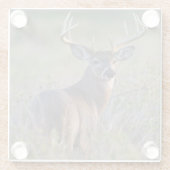 Weißschwanzhirsche Odocoileus virginianus Glasuntersetzer (Rückseite)