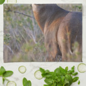 Weißschwanzhirsche Odocoileus virginianus Küchentuch (Gefaltet)