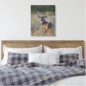 Weißschwanzhirsche Odocoileus virginianus Leinwanddruck (Insitu (Schlafzimmer))