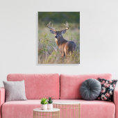 Weißschwanzhirsche Odocoileus virginianus Leinwanddruck (Insitu (Wohnzimmer))