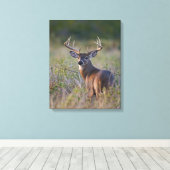 Weißschwanzhirsche Odocoileus virginianus Leinwanddruck (Insitu (Holzboden))