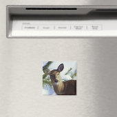 Weißschwanzhirsche (Odocoileus virginianus), Magnet (In Situ (Geschirrspüler))