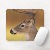 Weißschwanzhirsche, Odocoileus virginianus, Mousepad (Mit Mouse)