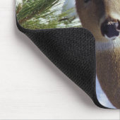 Weißschwanzhirsche (Odocoileus virginianus), Mousepad (Ecke)