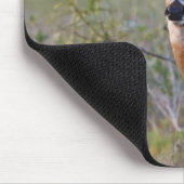 Weißschwanzhirsche Odocoileus virginianus Mousepad (Ecke)