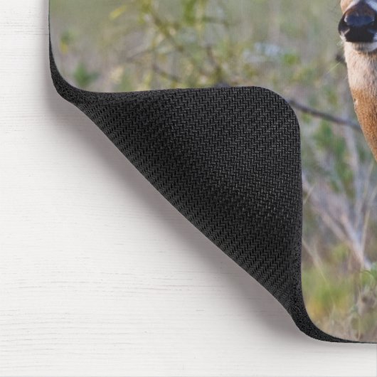 Weißschwanzhirsche Odocoileus virginianus Mousepad (Ecke)