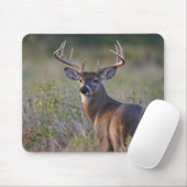 Weißschwanzhirsche Odocoileus virginianus Mousepad (Mit Mouse)
