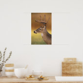 Weißschwanzhirsche, Odocoileus virginianus, Poster (Küche)