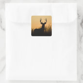 Weißschwanzhirsche (Odocoileus virginianus) Quadratischer Aufkleber (Tasche)