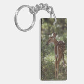 Weißschwanzhirsche, Odocoileus virginianus Schlüsselanhänger (Vorderseite links)