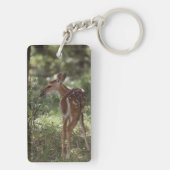 Weißschwanzhirsche, Odocoileus virginianus Schlüsselanhänger (Rückseite)