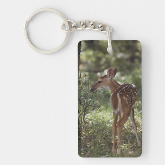 Weißschwanzhirsche, Odocoileus virginianus Schlüsselanhänger (Vorderseite)